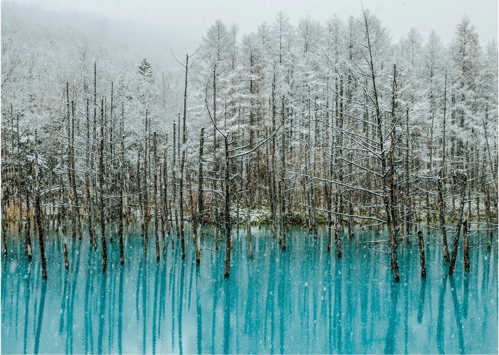 Tablou - Pescărie turcoaz, Biei, Japonia (70x50 cm)