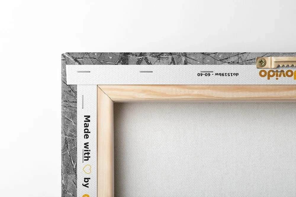 Tablou alee copacilor de toamnă în design alb-negru
