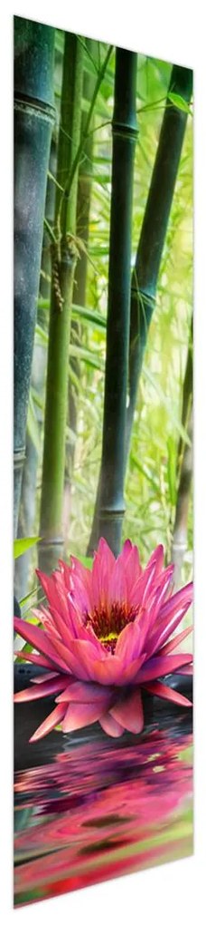 Fotojaluzele R012051R42150 (42x150 cm)