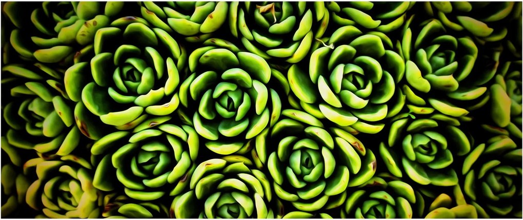 Tablou cu flori de piatră (120x50 cm)