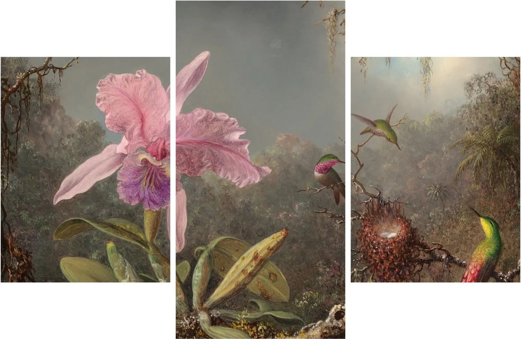 Tablou - Martin Johnson Heade, Cattleya Orchid and Three Hummingbirds, reproducere (90x60 cm)