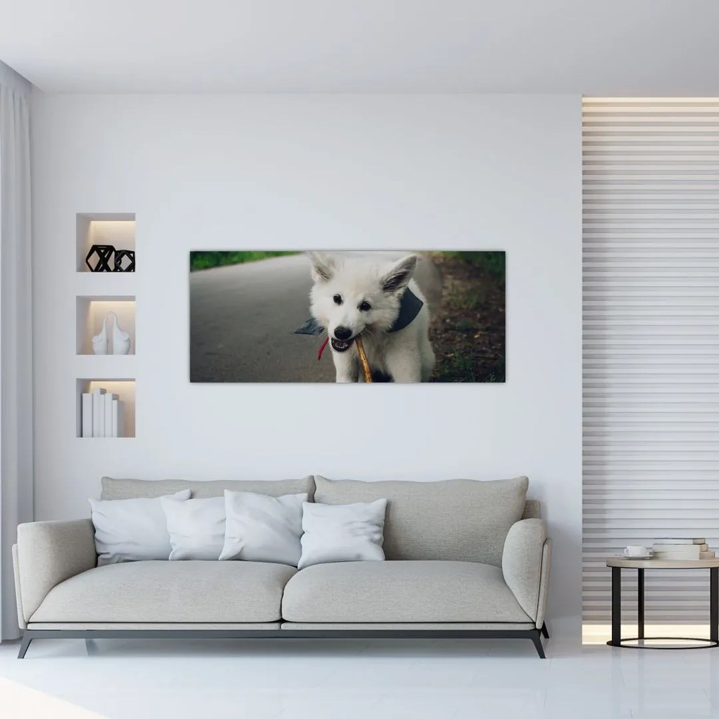 Tablou cu câinele alb (120x50 cm)