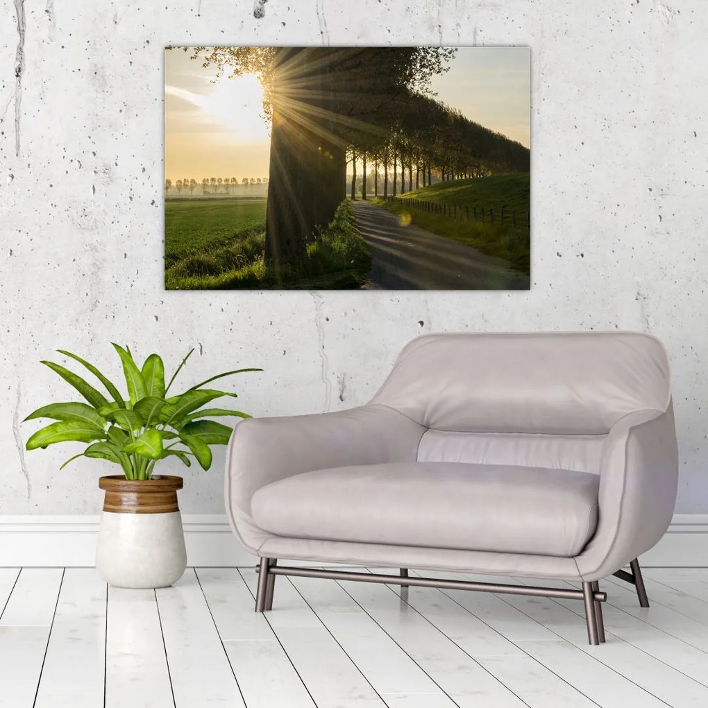 Tablou cu alee (90x60 cm)