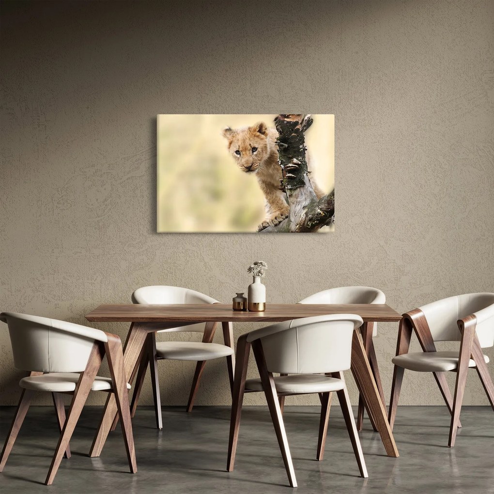 Tablou cu pui de leu (90x60 cm)