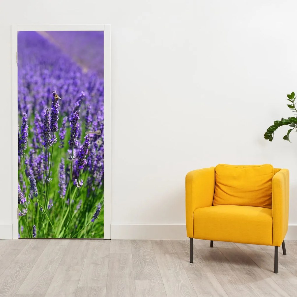 Fototapet pentru ușă - Lavandă (95x205cm)
