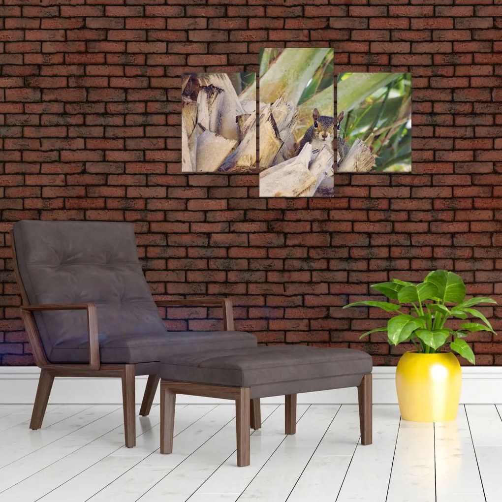 Tablou cu veverița în copaci (90x60 cm)