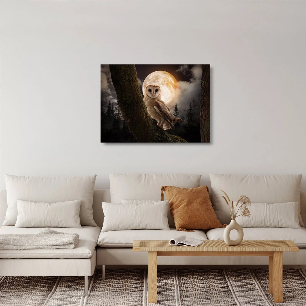 Tablou pe sticlă cu bufnița (70x50 cm)