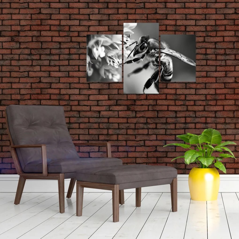 Tablou - Detaliu de albină (90x60 cm)