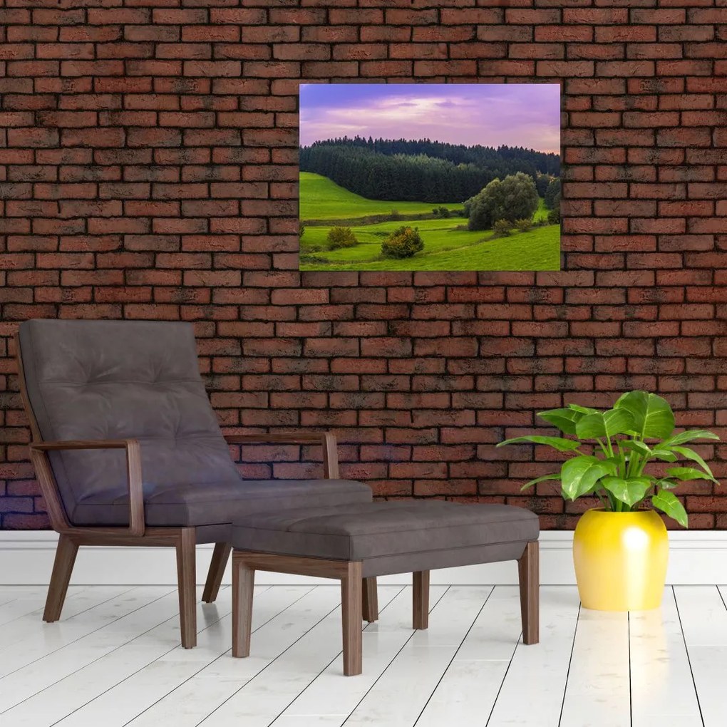 Tablou cu lunca (70x50 cm)