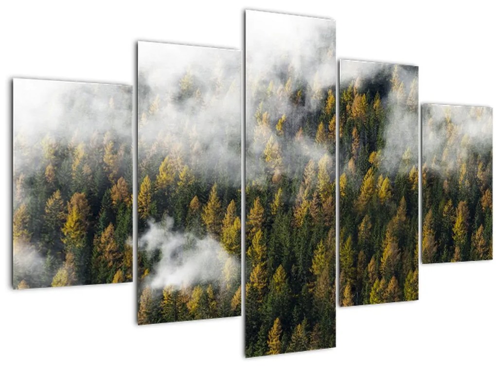 Tablou - Pădure în nori (150x105 cm)