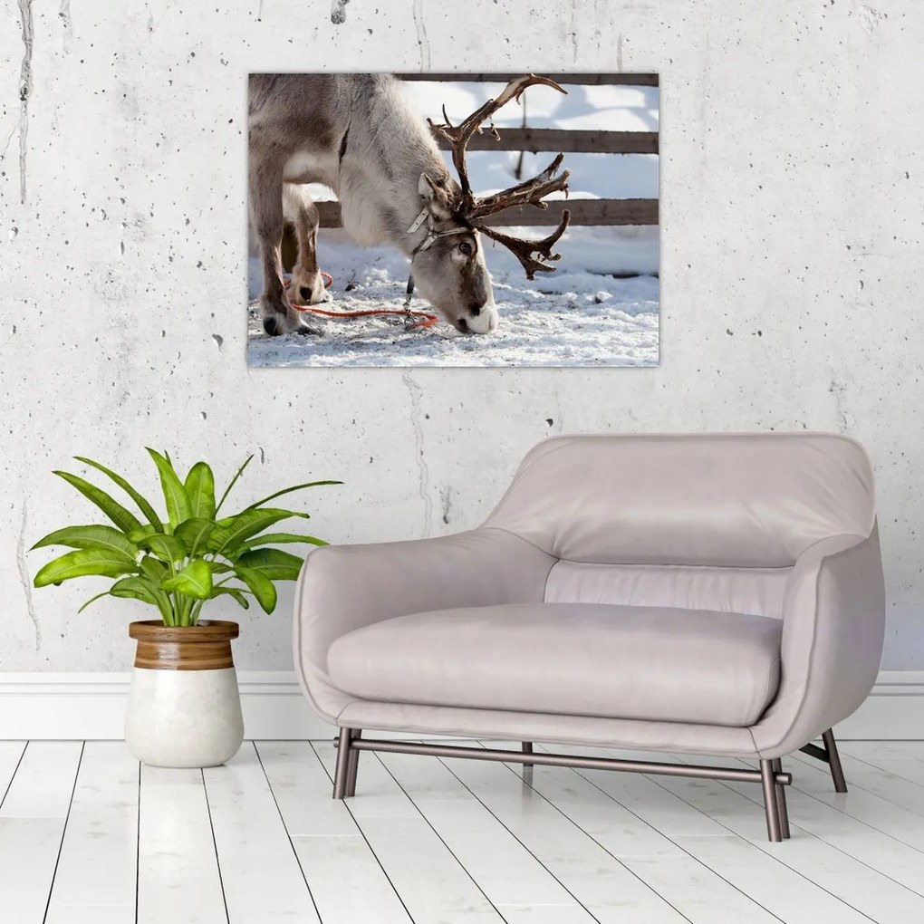 Tablou - Sâmbătă (70x50 cm)