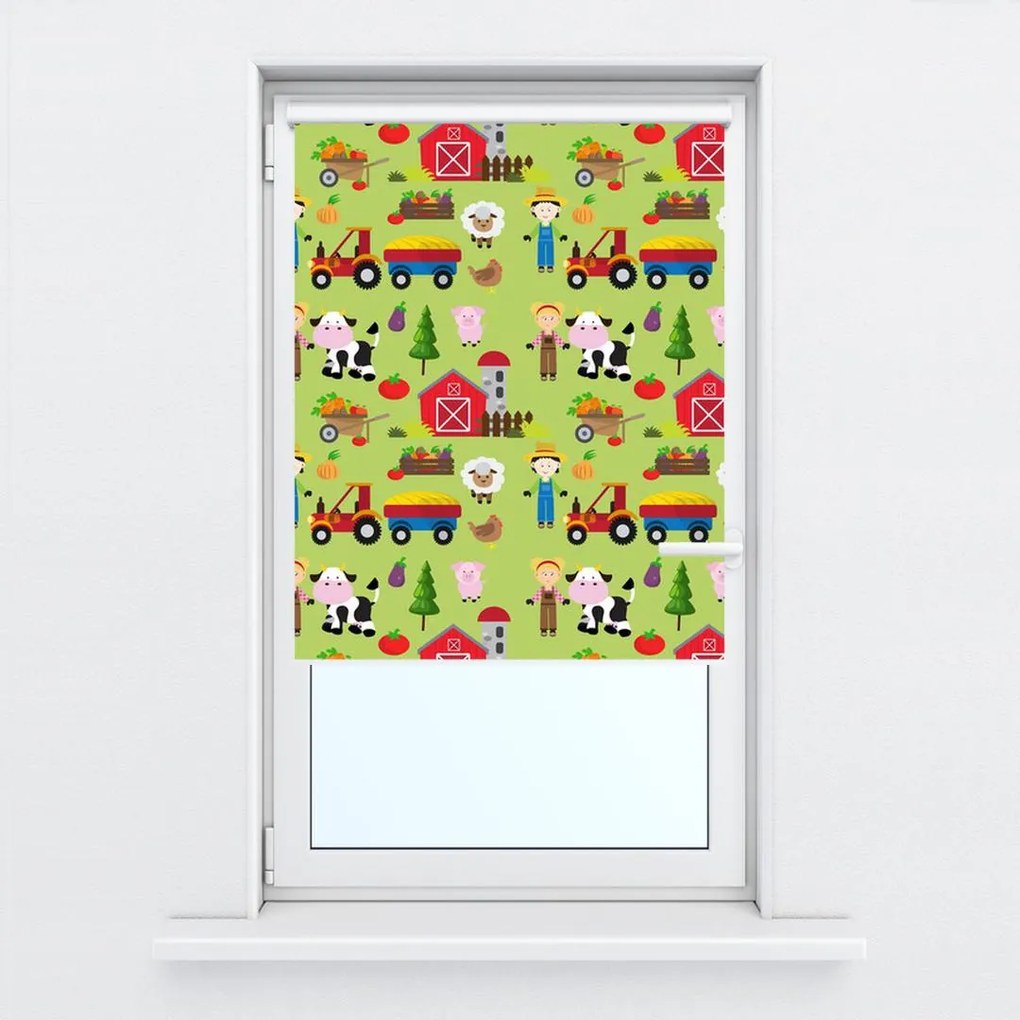 Fotojaluzele R013988R42150 (42x150 cm)
