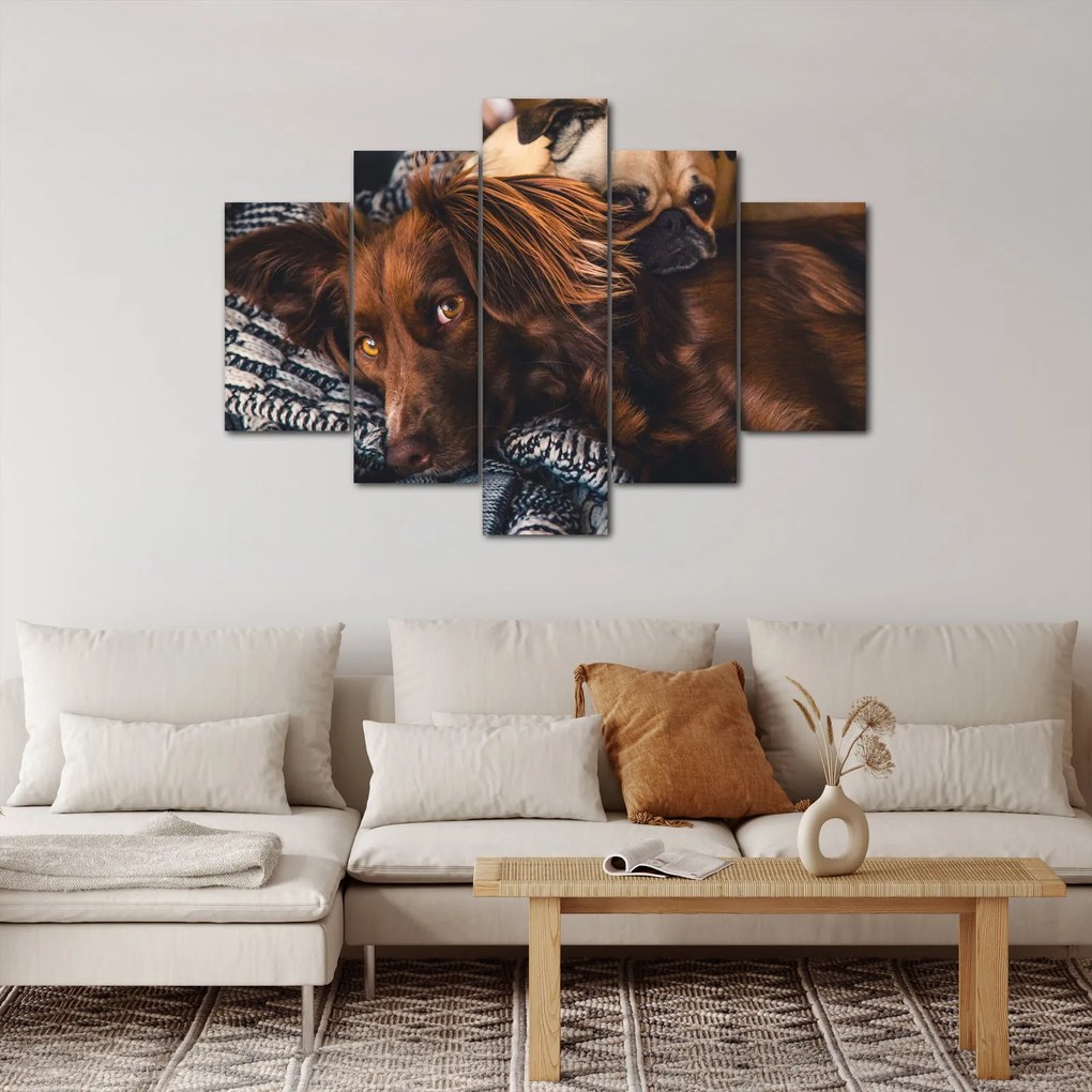 Tablou cu câini dormind (150x105 cm)