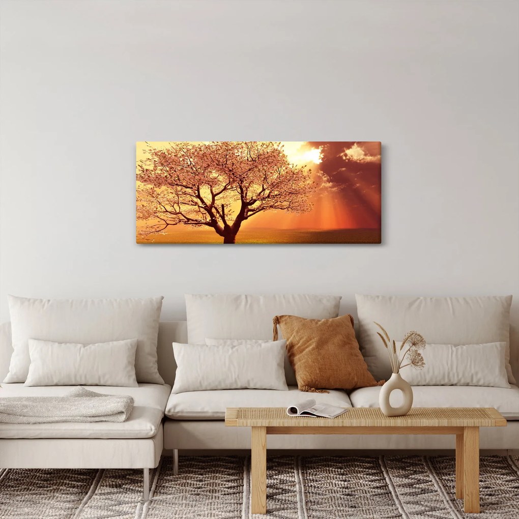 Tablou cu razele lui Dumnezeu (120x50 cm)