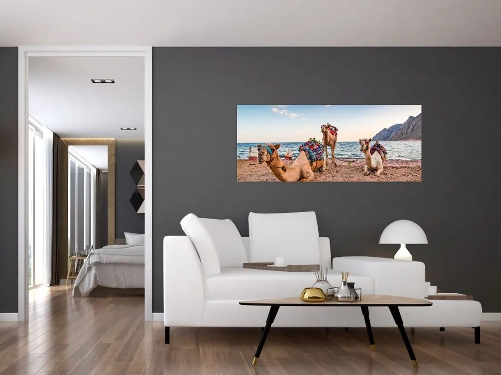 Tablou cu cămile (120x50 cm)