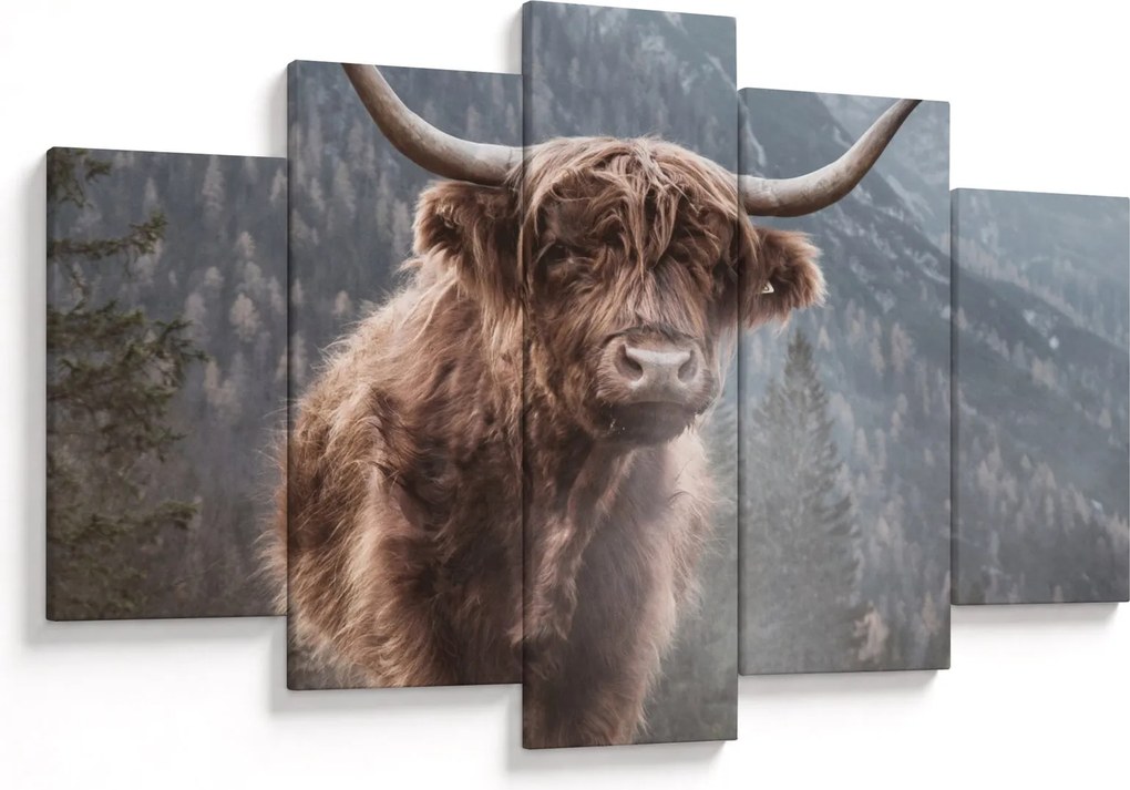 Tablou - Vaca Highlander (150x105 cm)