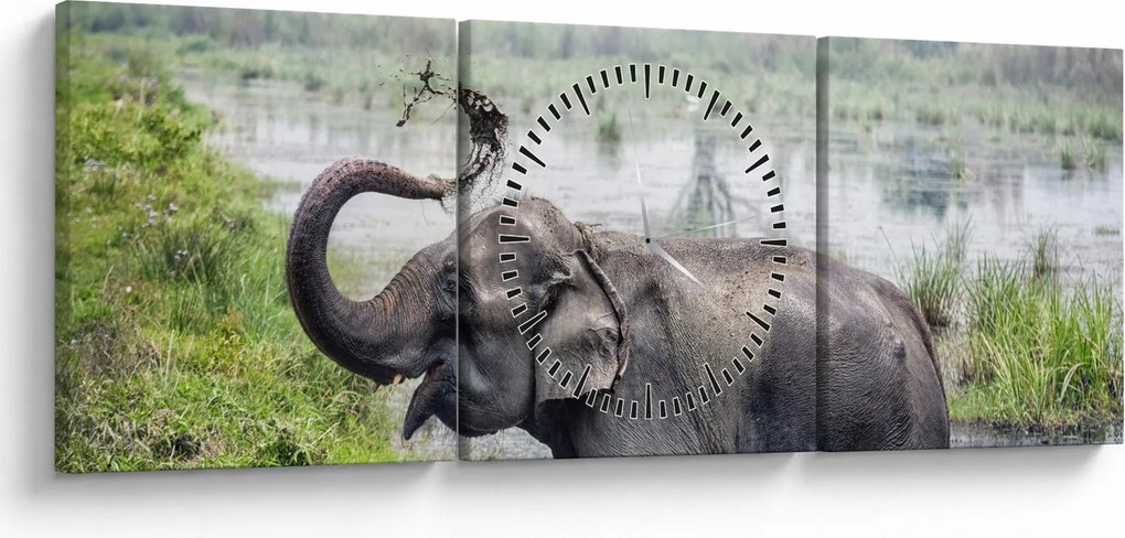 Tablou - Elefant de scăldat (cu ceas) (90x30 cm)
