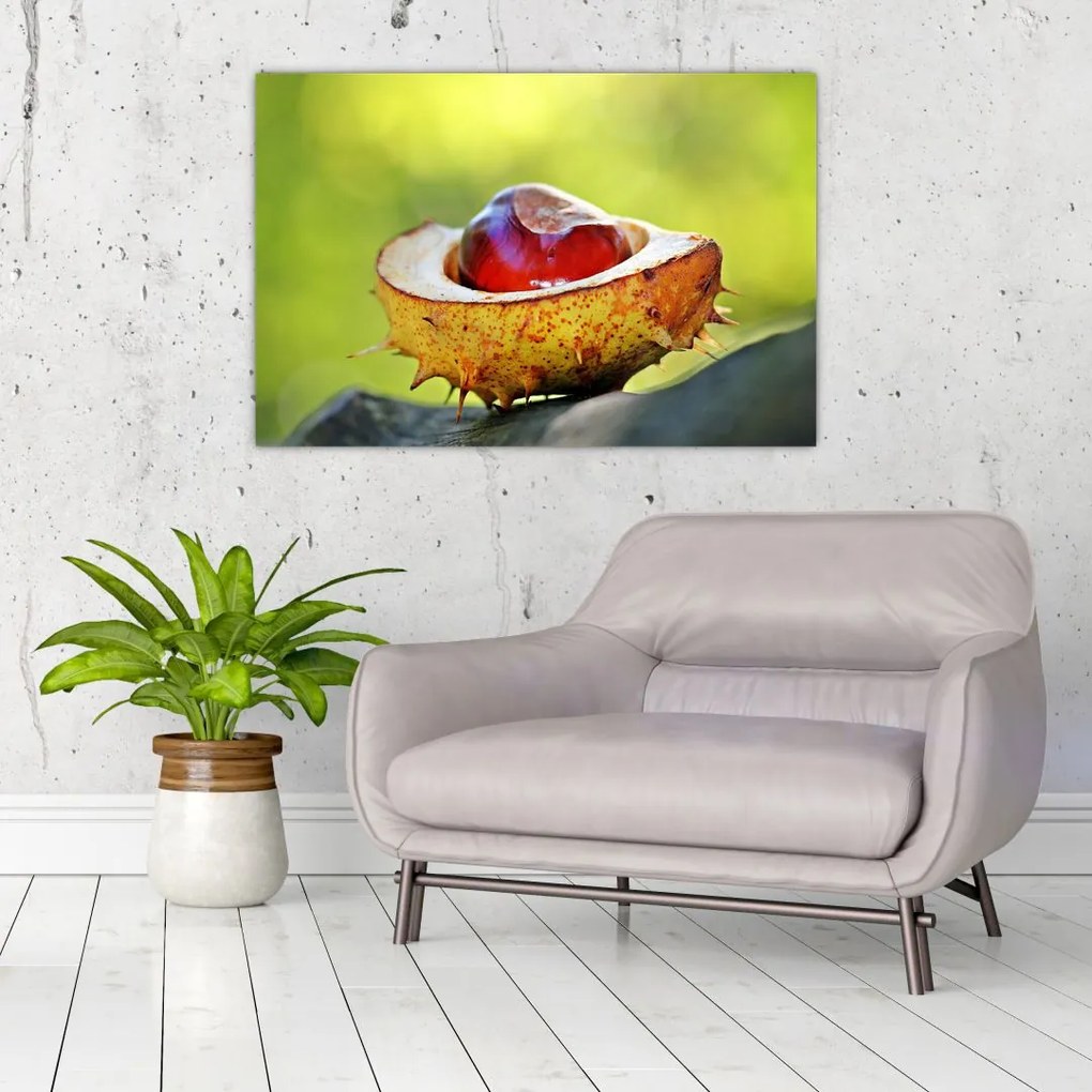 Tablou cu castani (90x60 cm)