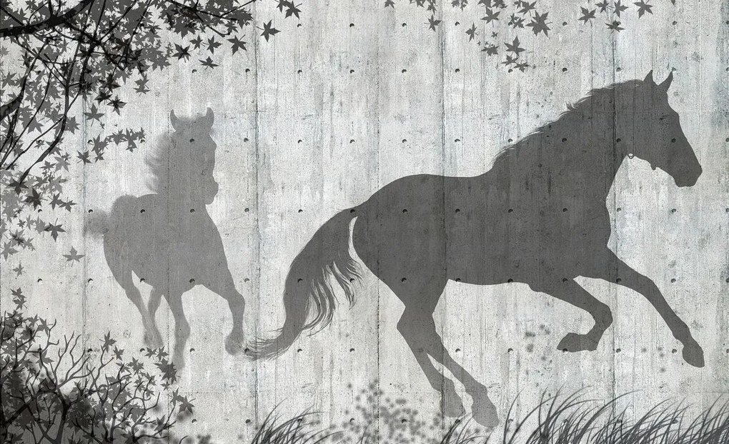 Fototapet - Umbrele de cai pe perete gri (254x184 cm), în 8 de alte dimensiuni noi