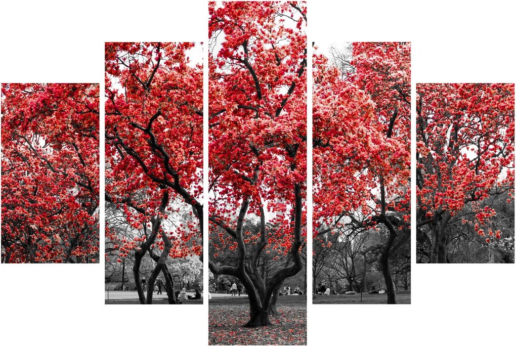Tablou - Copacii roșii, Central Park, New York (150x105 cm)