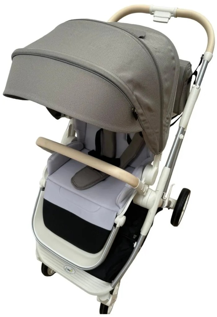 Carucior 2 in 1 pentru copii Usor si Compact - Pliabil, Sistem de absorbtie a socurilor, Scaun Reversibil - Verde - CPC-58-verde