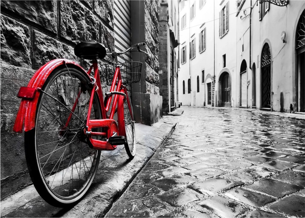 Tablou pe sticlă - Bicicleta roșie pe o stradă pavată (70x50 cm)