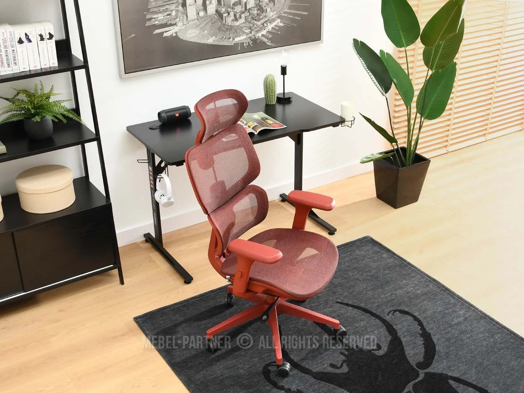 Scaun Horst (roșu + roșu). Promo -10%. 1110510