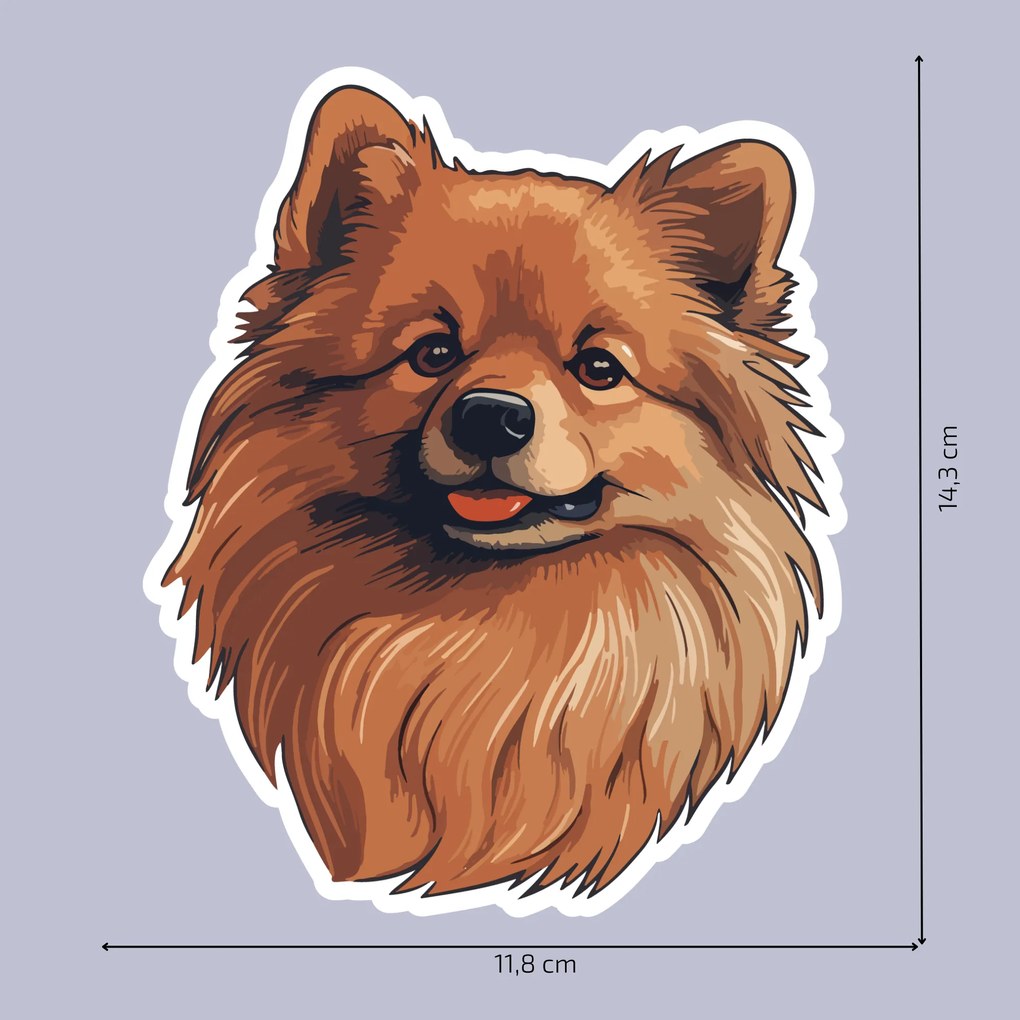 PIPPER. Autocolant Pomeranian mărimea: 60cm