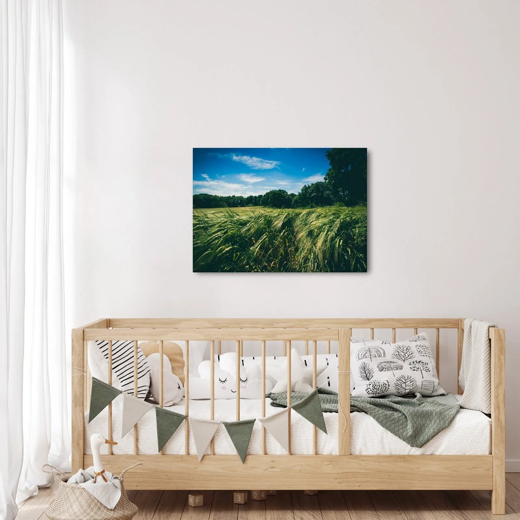 Tablou cu linca și pădure (70x50 cm)