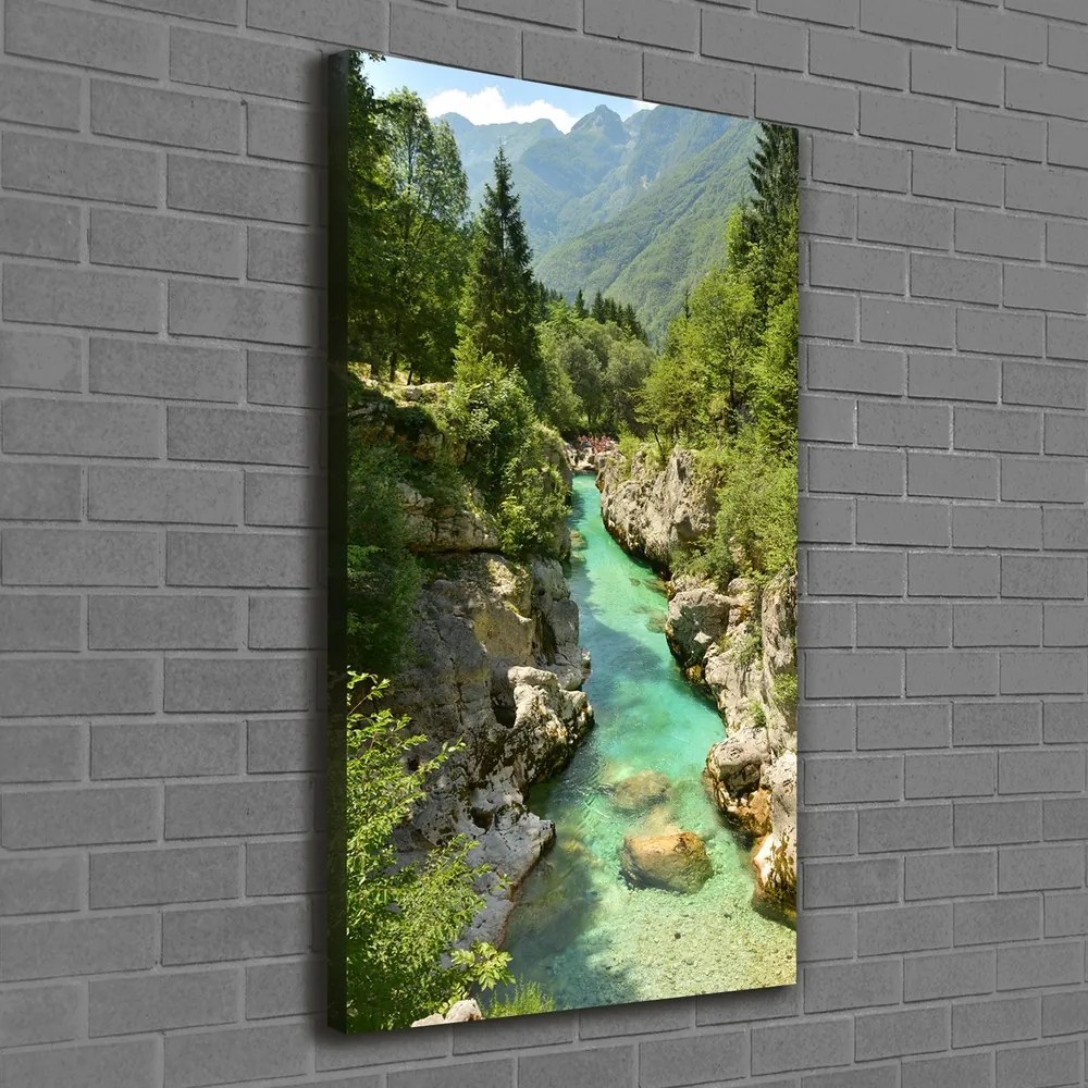 Tablou pe pânză canvas Branhii