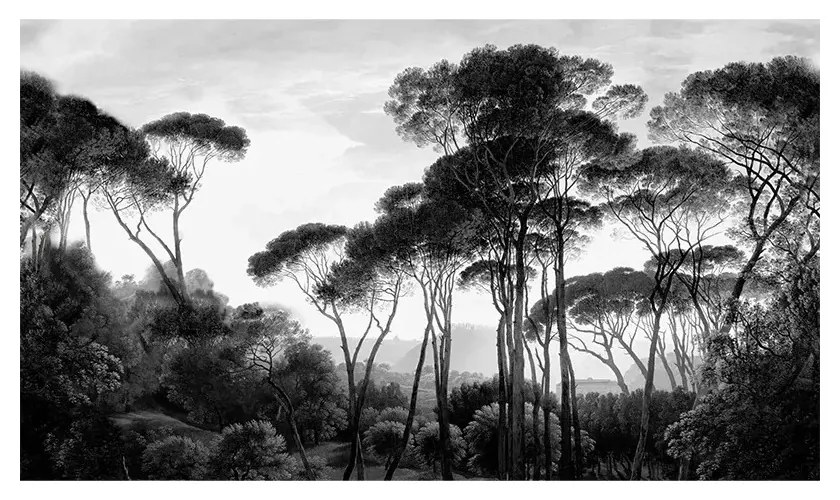 Tapet VLAdiLA Taormina Pines 520 x 300 cm