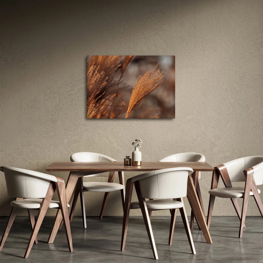 Tablou - Cortaderie (70x50 cm)