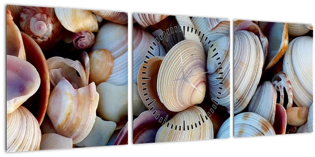 tablou cu scoici (cu ceas) (90x30 cm)