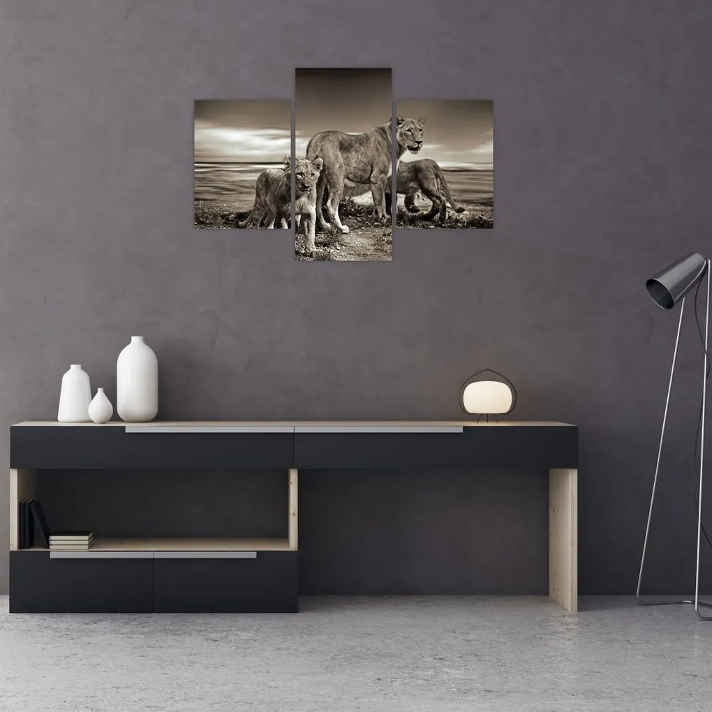 Tablou cu leii alb negri (90x60 cm)