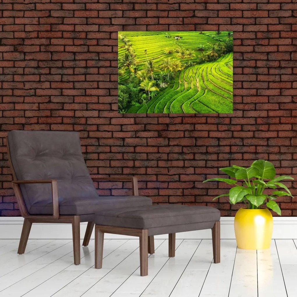 Tablou pe sticlă - Terase de orez (70x50 cm)