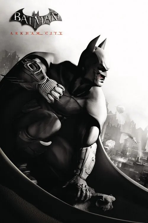 Poster de artă Batman Arkham City