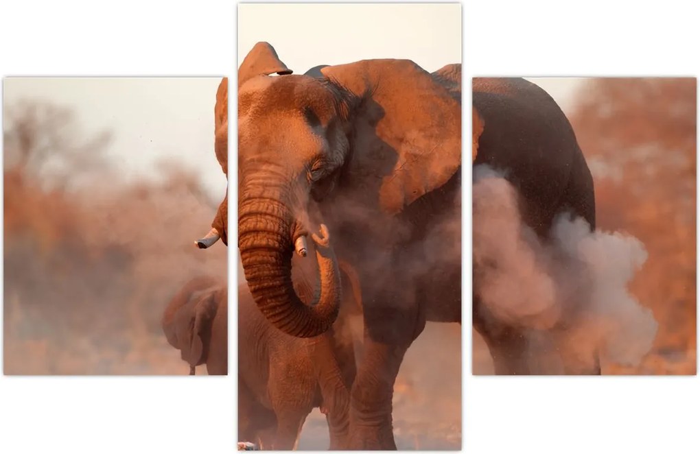 Tablou - Marele elefant african (90x60 cm)