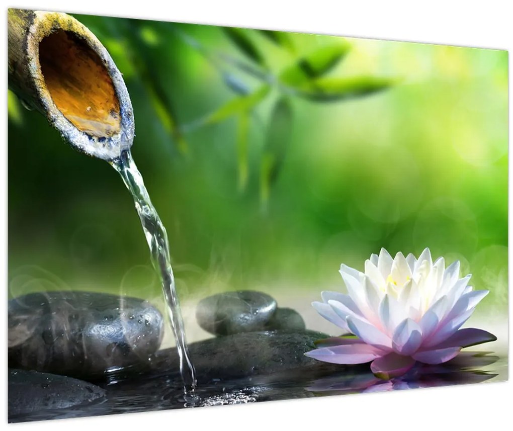 Tablou - Lotus (90x60 cm)