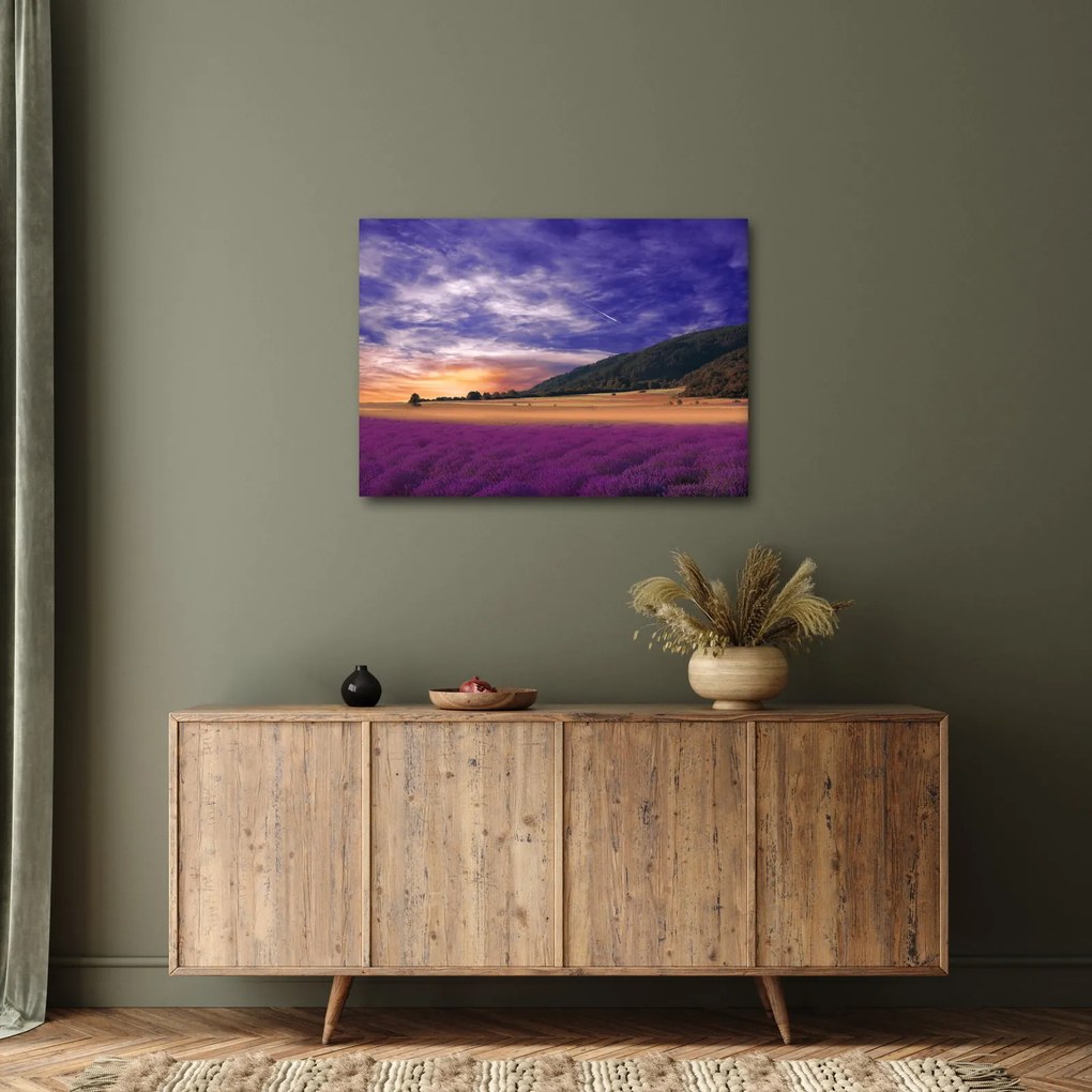 Tablou cu lunca cu lavandă (70x50 cm)