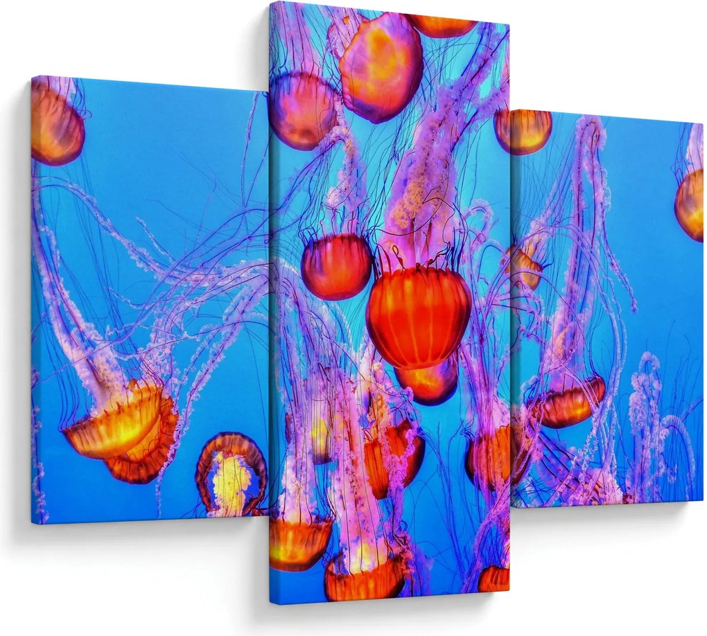 Tablou cu meduse în mare (90x60 cm)