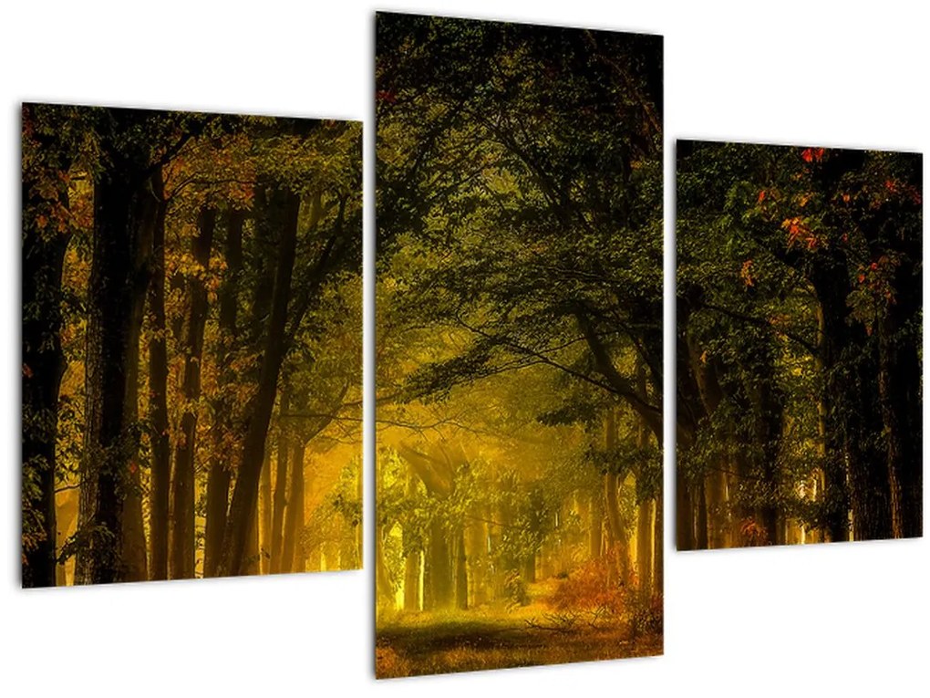 Tablou cu pădure (90x60 cm)