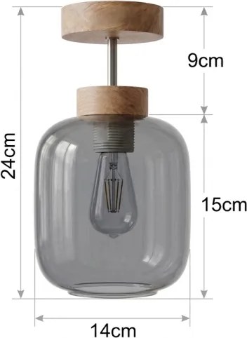 BRILAGI - LED Lustră aplicată R GLASS 1xE27/60W/230V Ø 14 cm stejar/gri fumuriu
