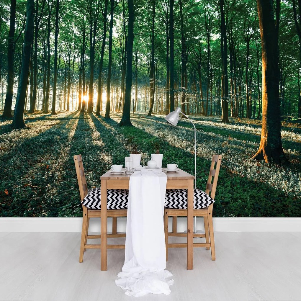 Fototapet - Pădure (152,5x104 cm)