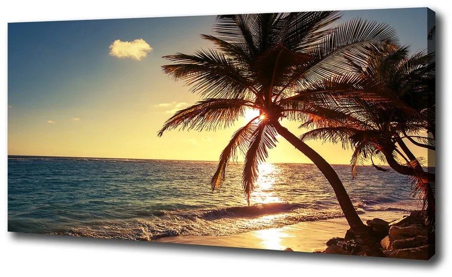 Print pe canvas Plaja tropicala