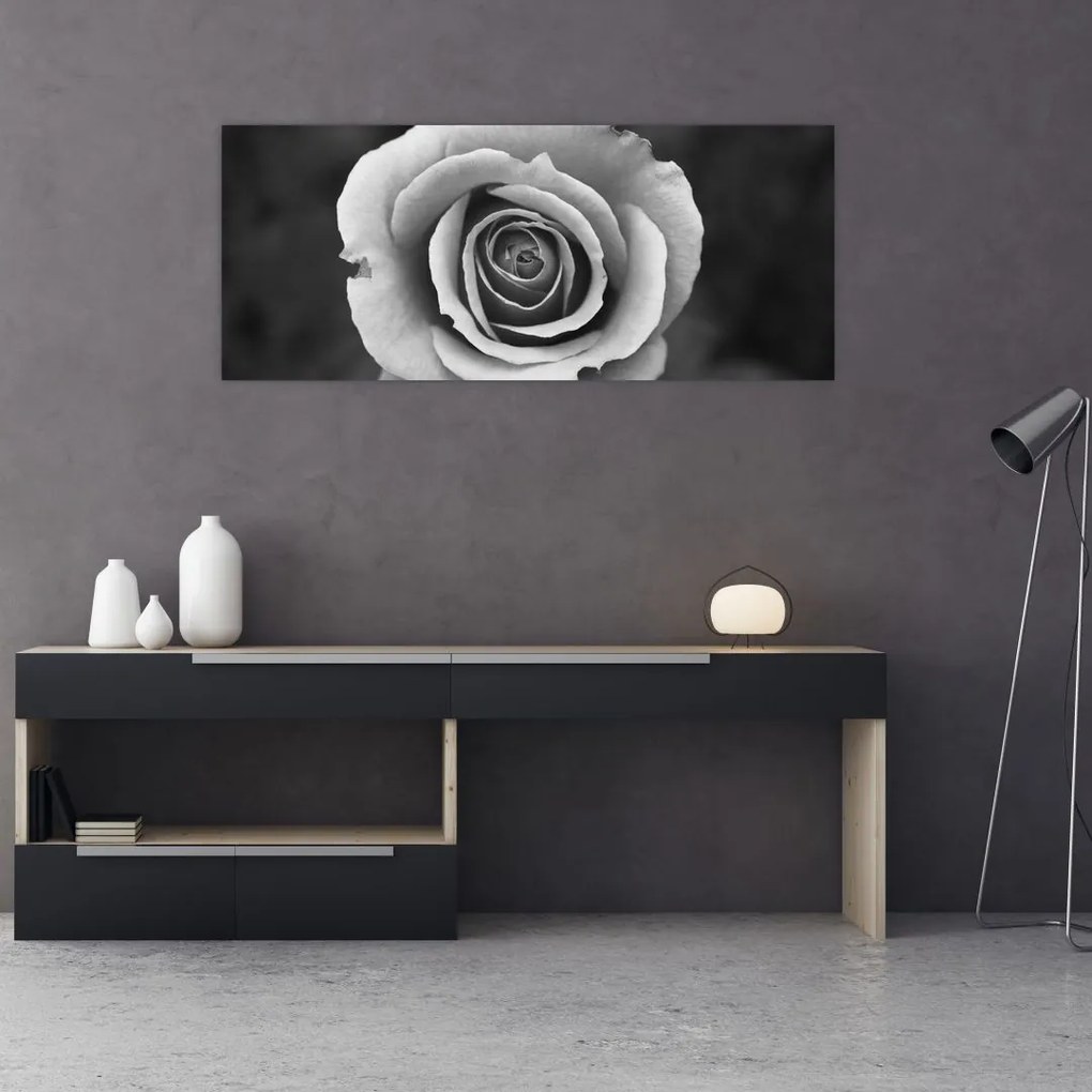 Tablou - Trandafir (120x50 cm)