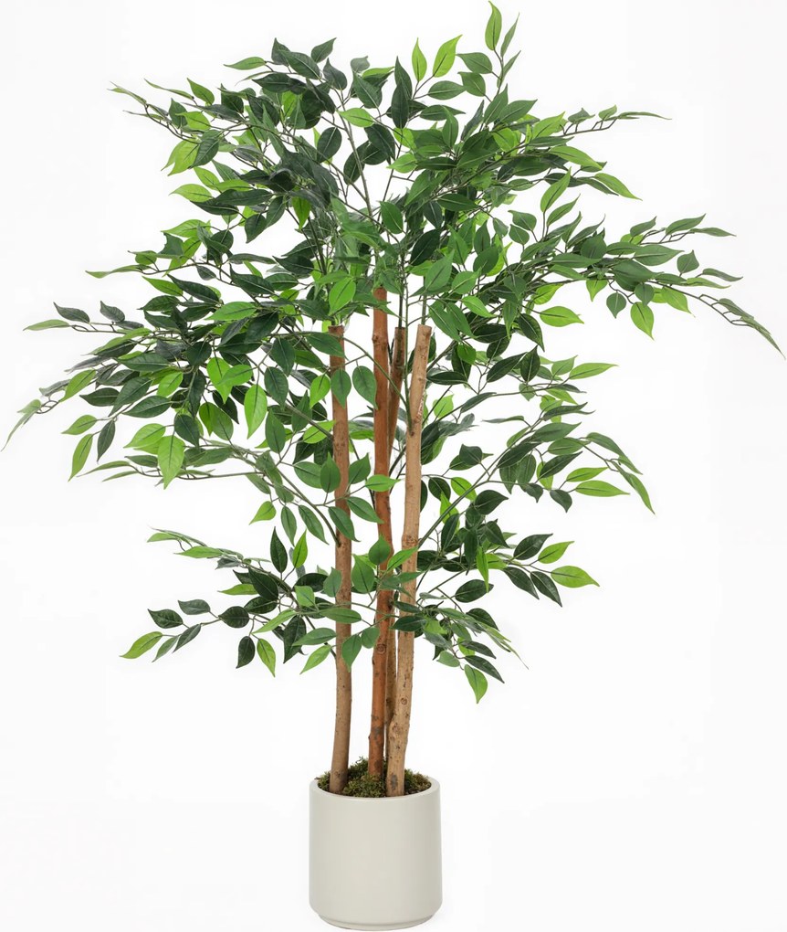 HOMCOM Plantă Artificială Banian 120 cm, cu Trunchi din Lemn Masiv și Ghiveci pentru Interior, Verde | Aosom Romania