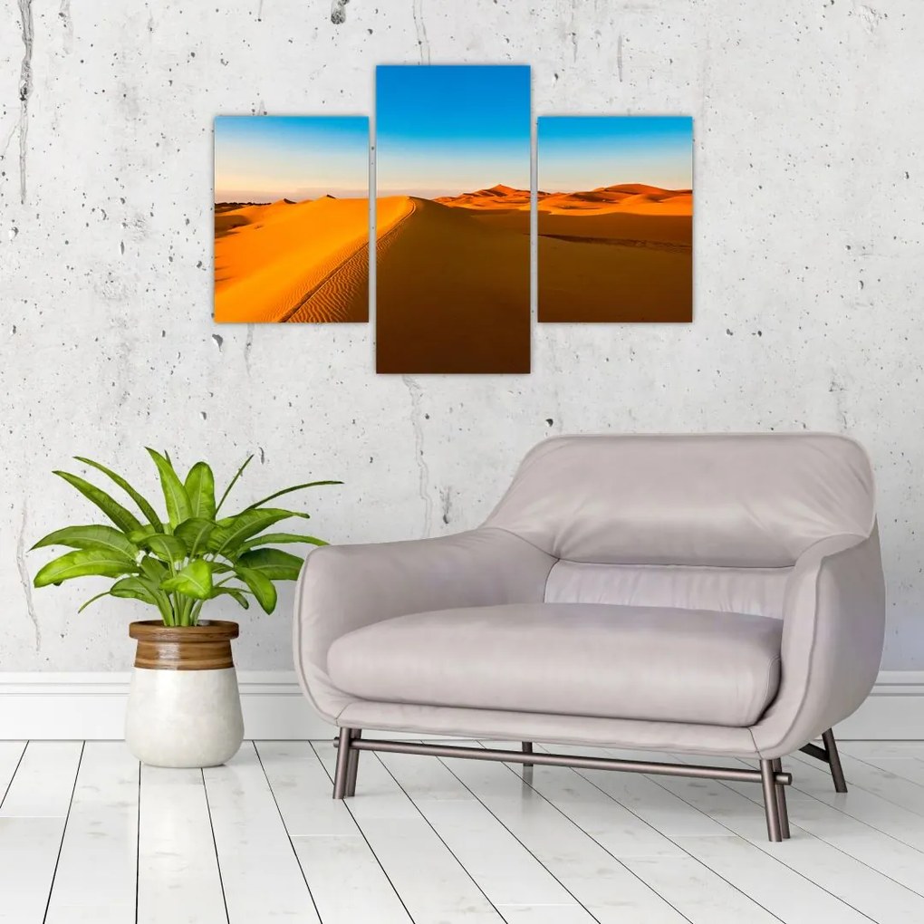 Tablou deșertului (90x60 cm)