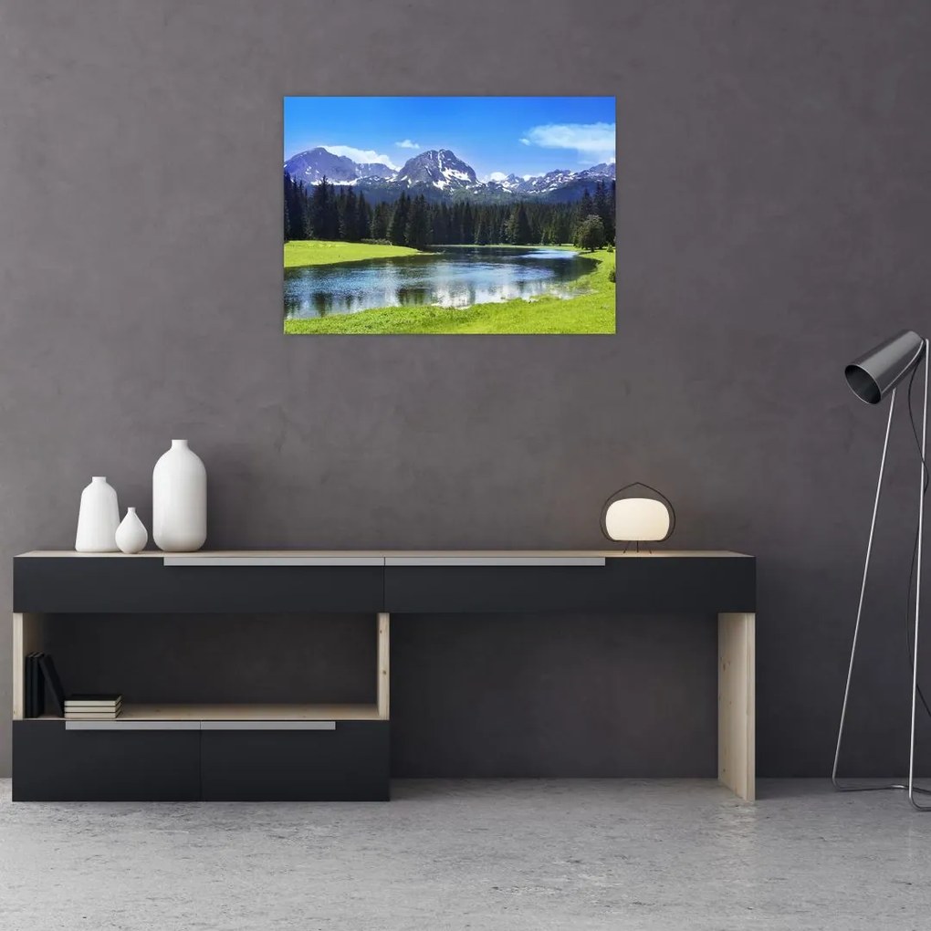 Tablou - vâfurile montane înzăpezite (70x50 cm)