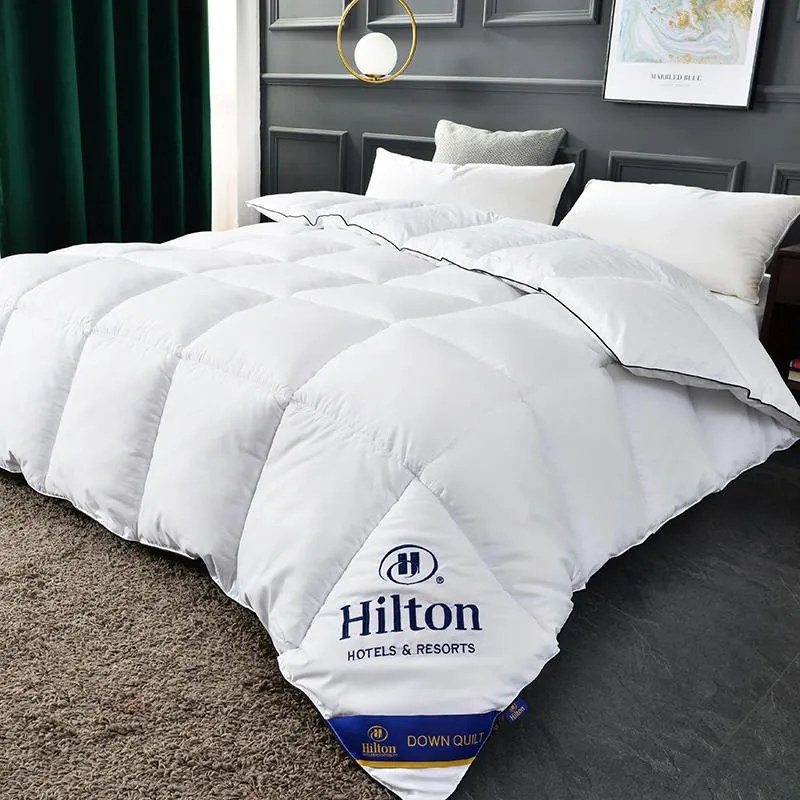 Set pilota Hilton si 2 perne