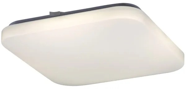 Rabalux 2287 - Plafonieră LED ROB 1xLED/32W/230V